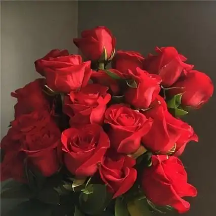 2021浪漫好看的很个性红色玫瑰花别人喜欢你你就要珍惜别人的喜欢图片