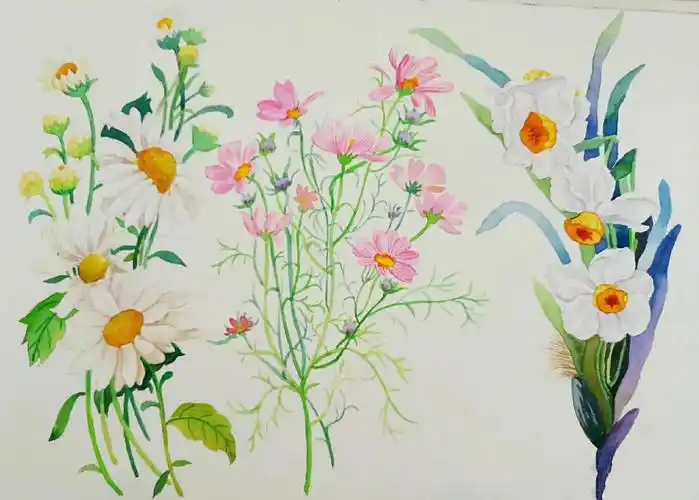 水彩花卉画起来