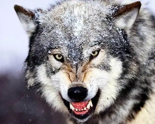 人性最大的恶是不懂感恩珍惜