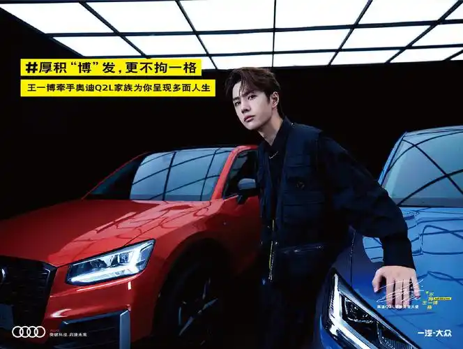 奥迪王一博