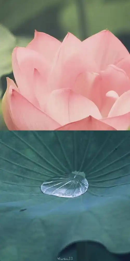 100张夏日限定清新护眼手机壁纸