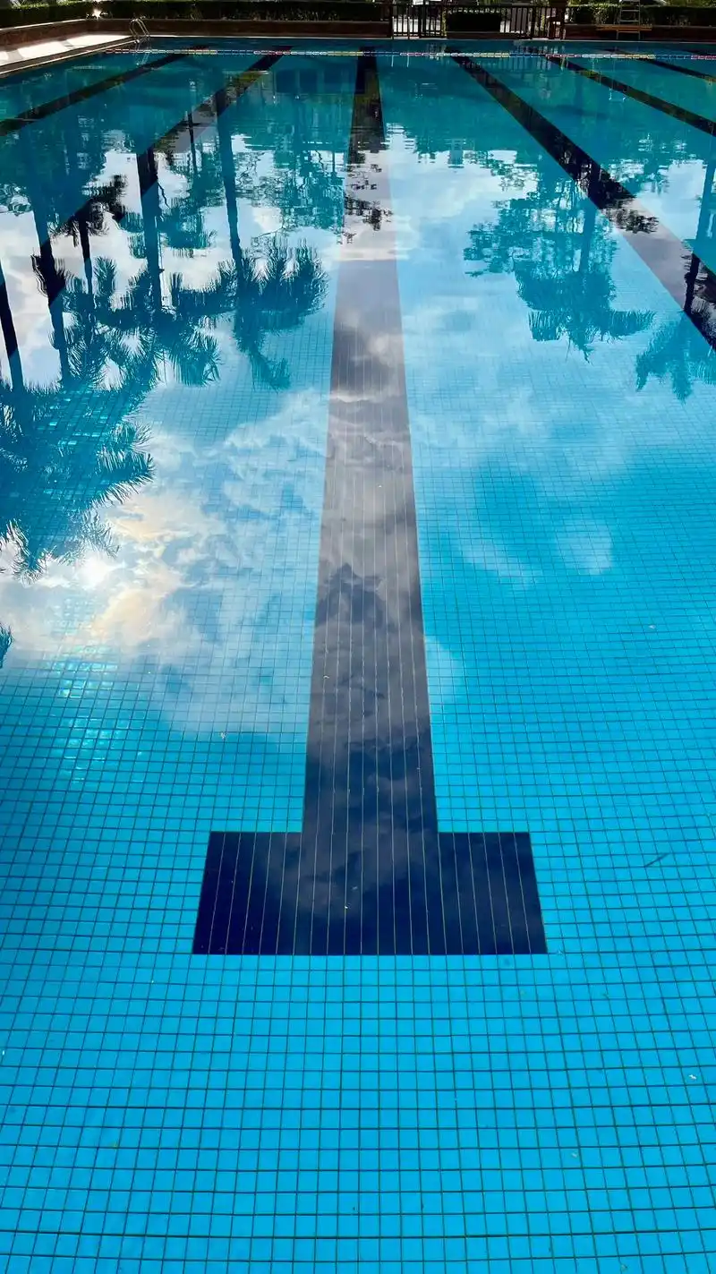 给大家几张符合游泳人气质和审美的手机壁纸.