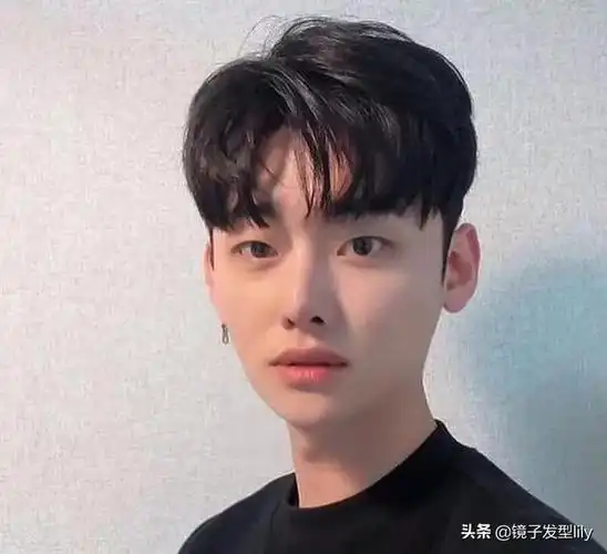 最新男士发型图片大全(新流行男发21款)(15)