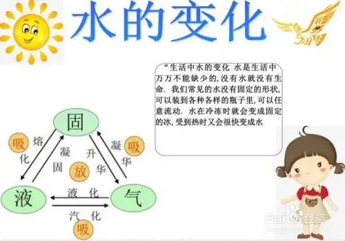 水的变化手抄报