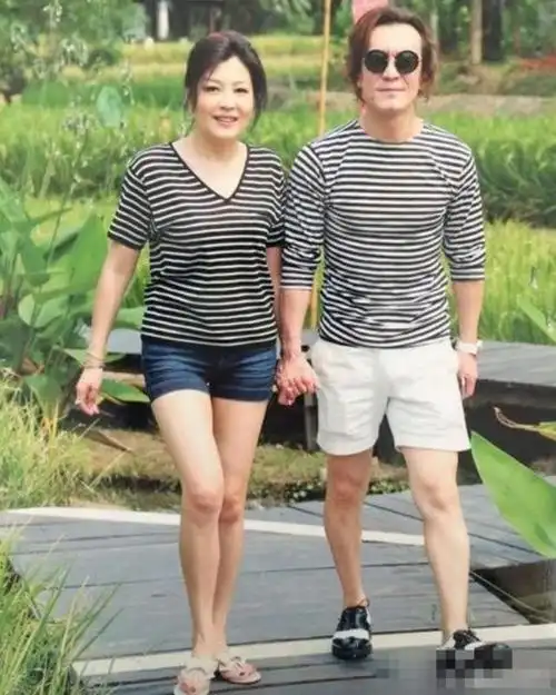 哈文和谁结婚了(李咏妻子哈文现状)-联跃灵芝网