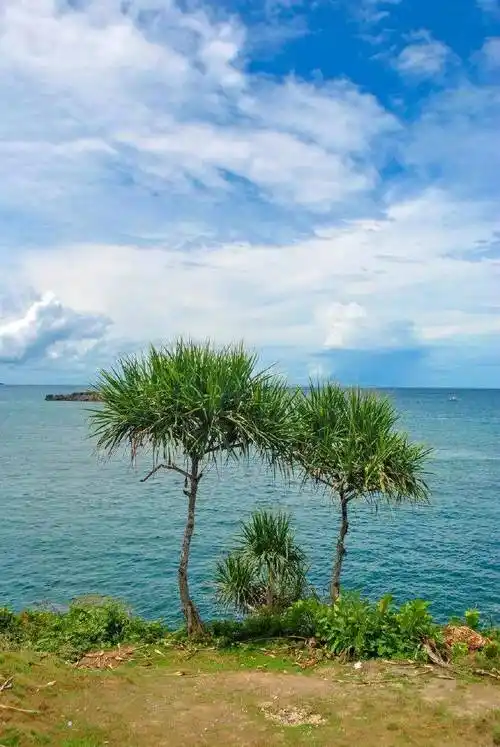 碧海蓝天,阳光沙滩,梦中向往的地方