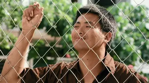 监狱风云2:逃犯 监狱风云ii逃犯(1991)导…-堆糖,美好生活研究所