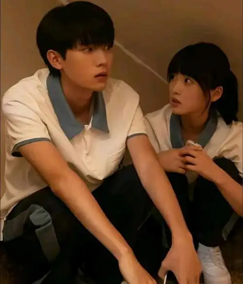 又一部青春校园剧当我飞奔向你猫的树执导男女主双向奔赴