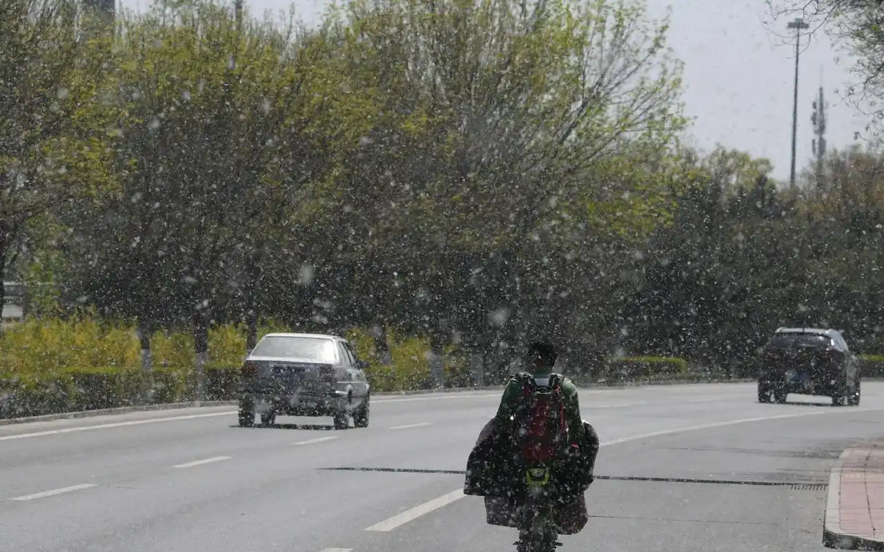 杨柳飞花京城飘絮的前世今生