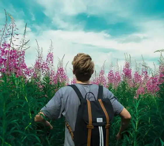 男生头像女生头像,欧美男孩背影与薰衣草花丛