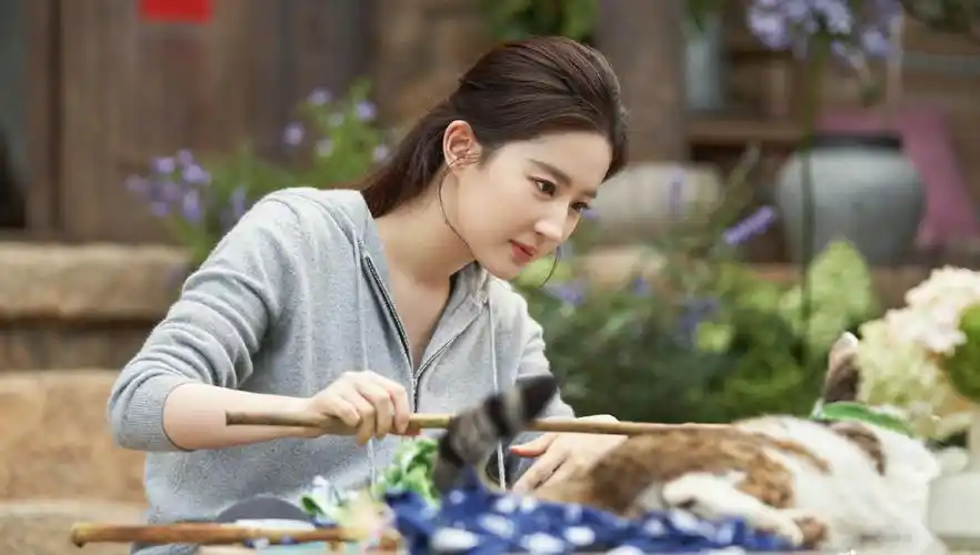 神仙姐姐刘亦菲的治愈系现代剧抚平焦虑的同时顺便学习下姐姐游玩时的