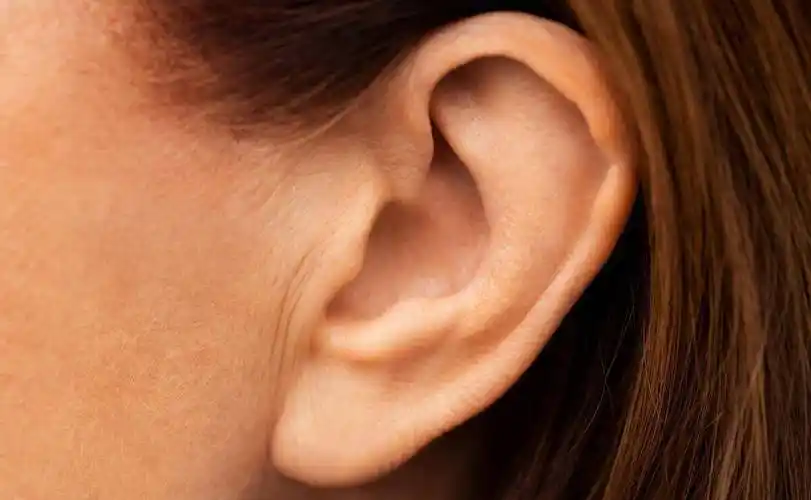 耳朵小寿命短是真的吗(耳大有福,耳小命苦有道理吗)_大小_命运_影响