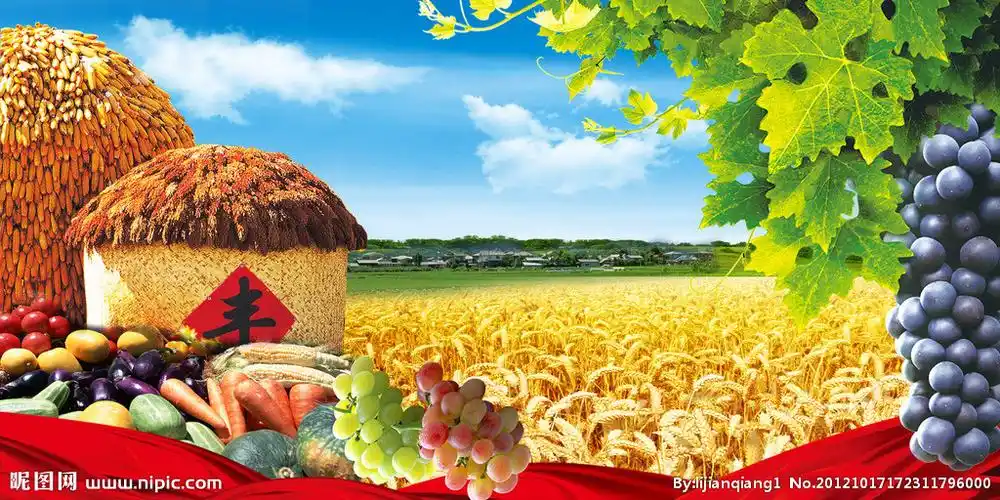 秋天丰收设计图__广告设计_广告设计_设计图库_昵图网nipic.com
