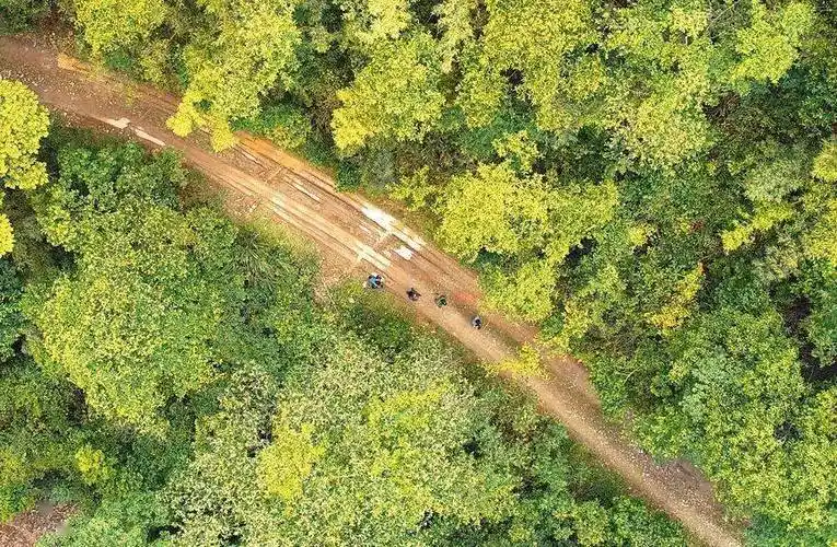 80后工程师"泡"在宜丰山里15年!_黎杰俊_昆虫_何贱