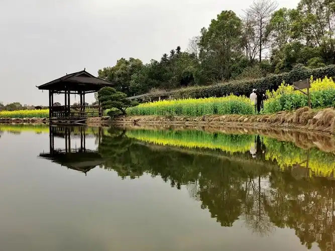 长沙县江背镇锦绣江南