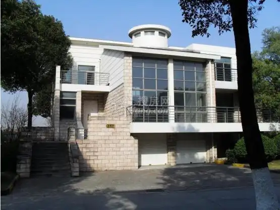 九号线沿线泗泾站附近 云顶别墅大独栋售价600万