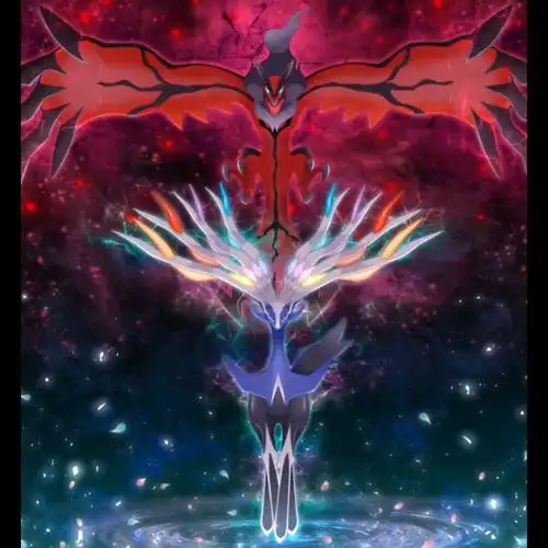 精灵宝可梦的帅照