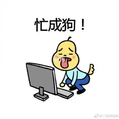 天天忙得晕头转向