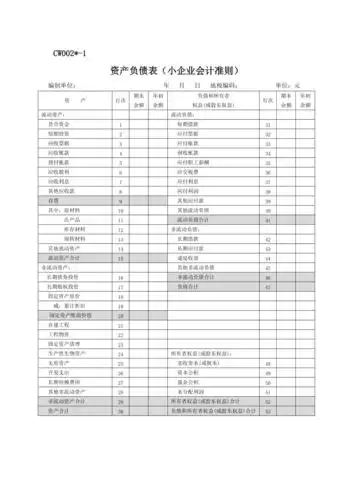 财务报表样式小企业会计准则