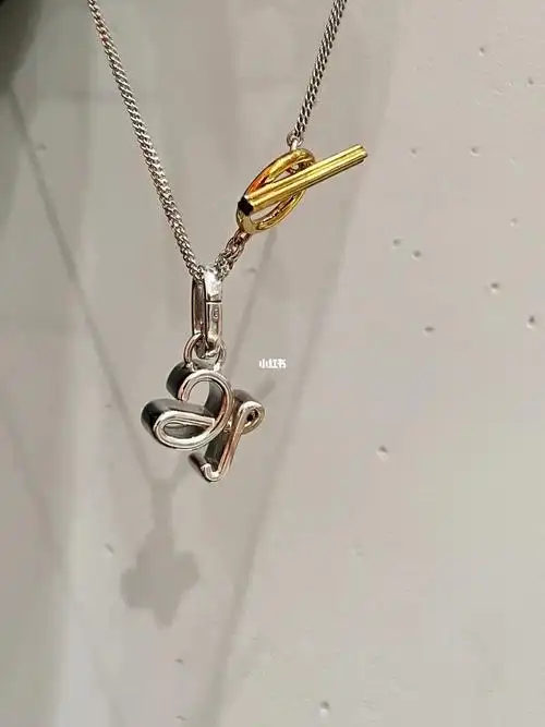 loewe  #罗意威  #loewe爆款  #罗意威loewe项链  #罗意威项链