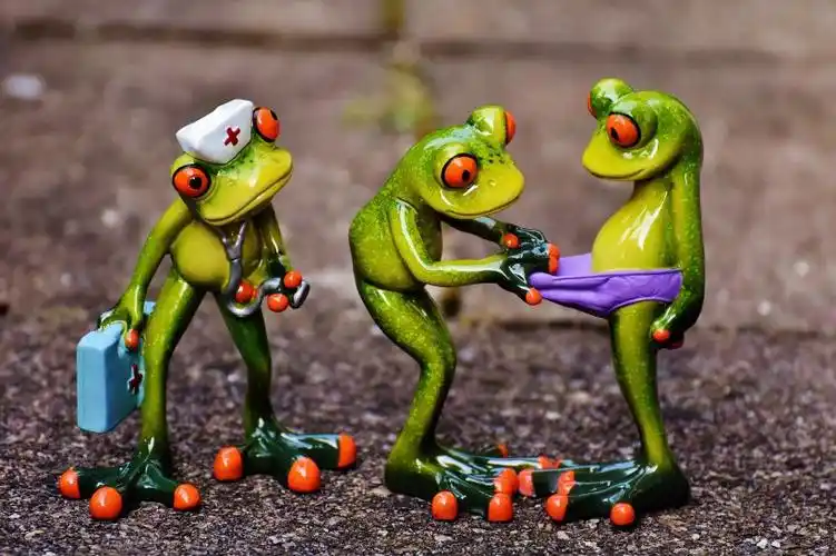 有趣的青蛙摆件图片 - 第11张