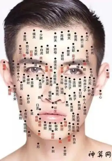 面痣图男子,人面部痣相最准图-神算网