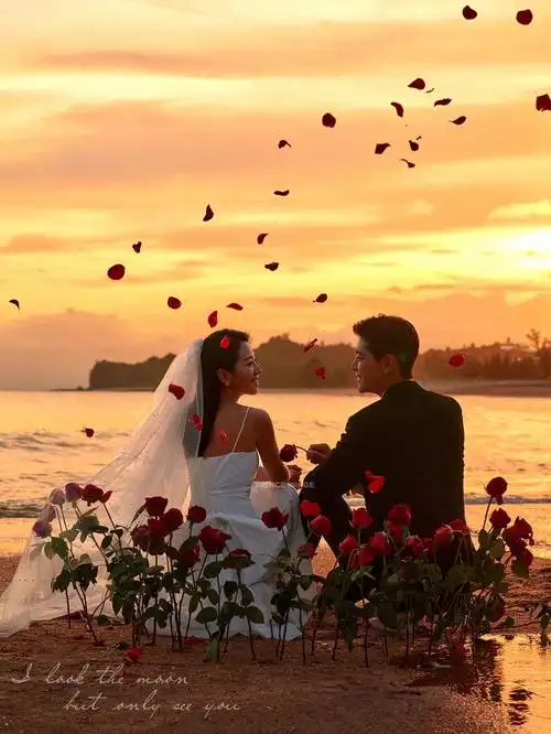 我偏要种玫瑰95成年人不做选择题,两个都满足～在海边拥有一片玫瑰