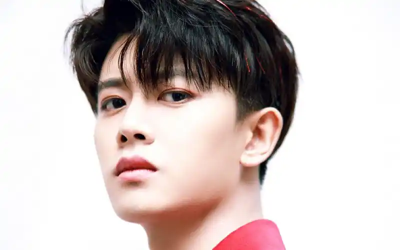 任嘉伦红色西装帅气写真桌面壁纸