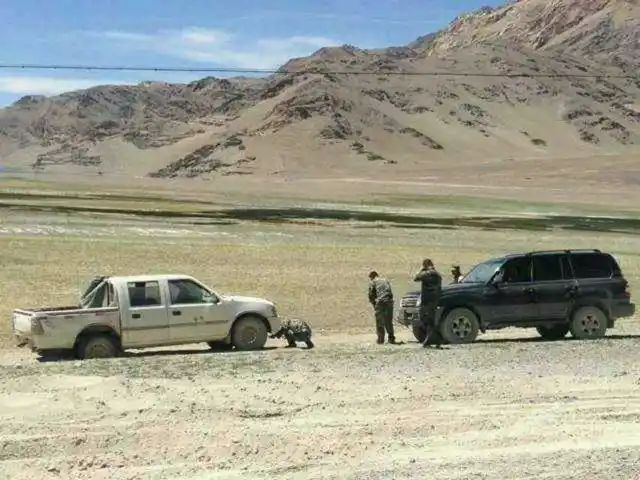 无人区有多危险?为什么在无人区自驾不建议在车里过夜?