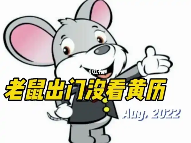 老鼠出门没看黄历