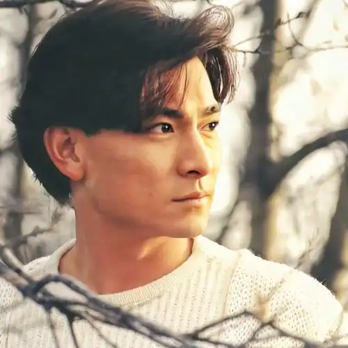 刘德华头像图片集合 高清好看经典帅气的华仔微信头像_明星头像_头像