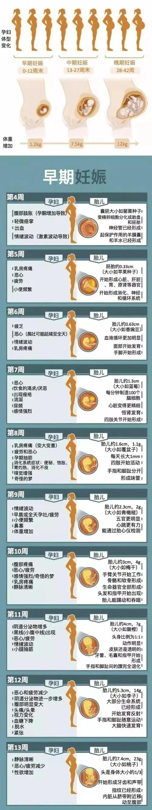 温馨提示:准妈妈们在怀孕期间应多吃水果,素菜以及有营养的食物,每天