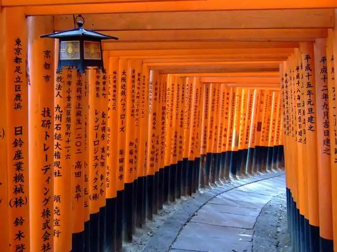 祈祷,健康,橙色,许愿,摄影,宗教,信仰,京都府,纪念,神道,祈求,神道教