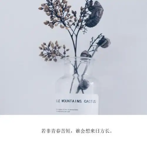 情感文字图片小清新心情配图文图片