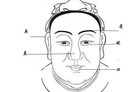 了这样面相特点的人子女的运势会很差,所以合适在上唇的位置留胡须的