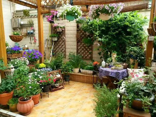 家有小院 心有所憩