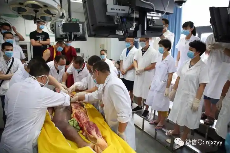 没有解剖学就没有医学——2019年1月12日全国第十一届深圳新鲜尸体