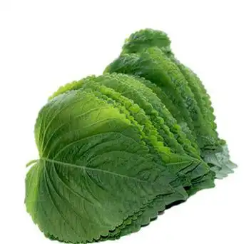 20斤包邮新鲜苏子叶蔬菜轻食叶菜韩式烤肉包肉饭蘸酱菜日料-阿里巴巴