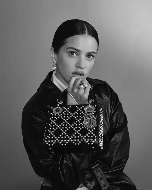 迪奥新任全球品牌大使rosal01a倾情演绎全新lady dior手袋广告大片