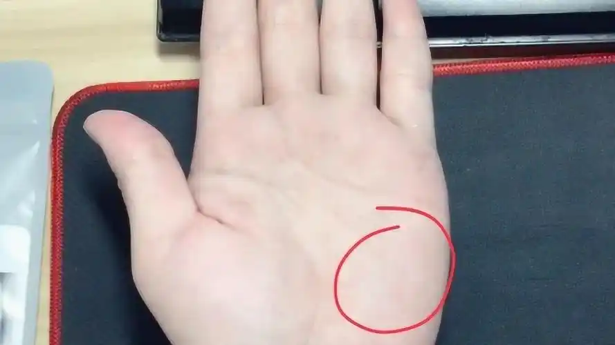 掌管精神创造力的月丘,它在手中哪个位置,会对我们命运有什么影响