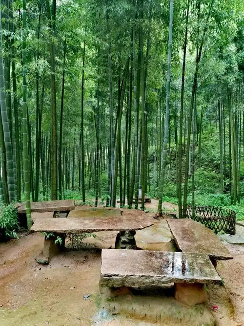 安吉竹海藏龙卧虎拍摄地