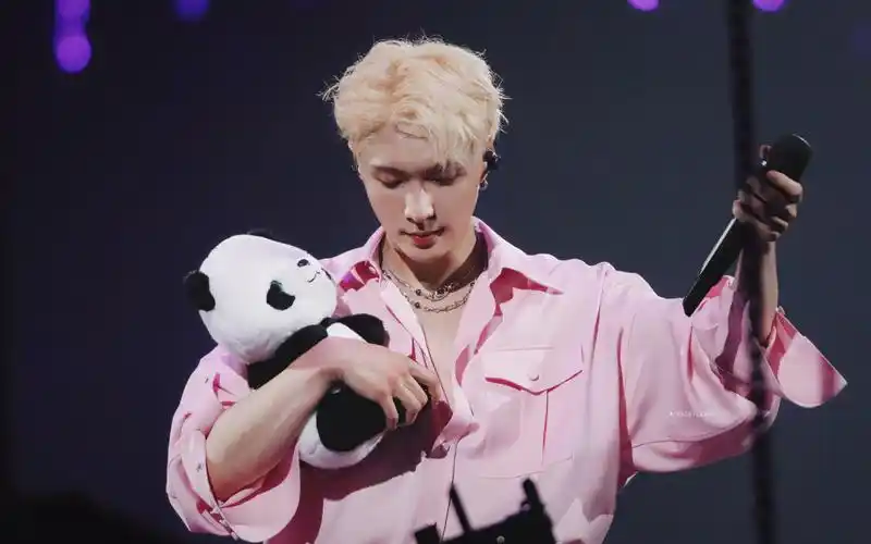 【张艺兴】231118大航海三巡演唱会成都站(更新中)