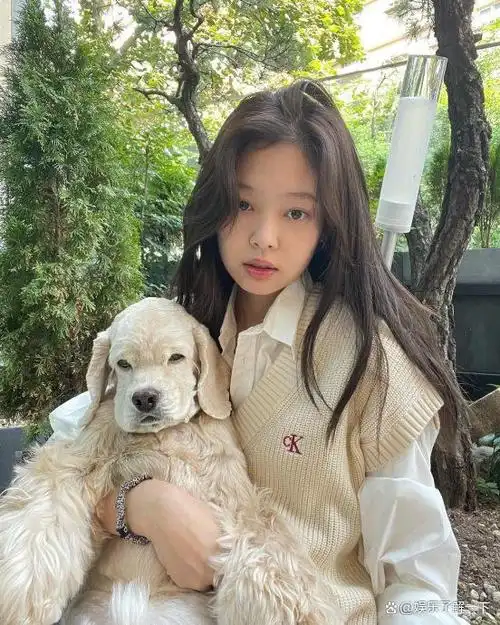 jennie爱犬kai离世 "跟妈妈对眼就忍不住哭"