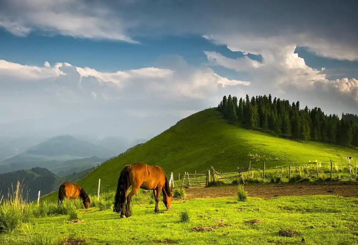 天堂很远新疆很近新疆这100个最美观景点你目前去过几个