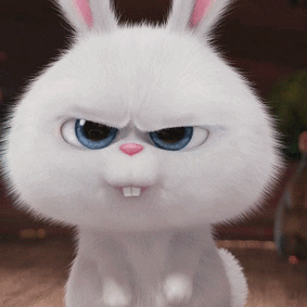 67676767小白兔子动图_爱宠大机密_小白_兔子_动图_卡通表情
