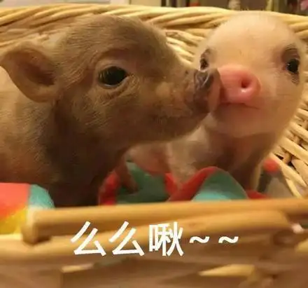 微信搞笑表情包大全,大哥喝啤酒