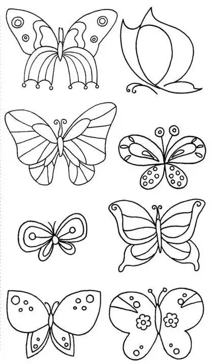 动物蝴蝶简笔画大图