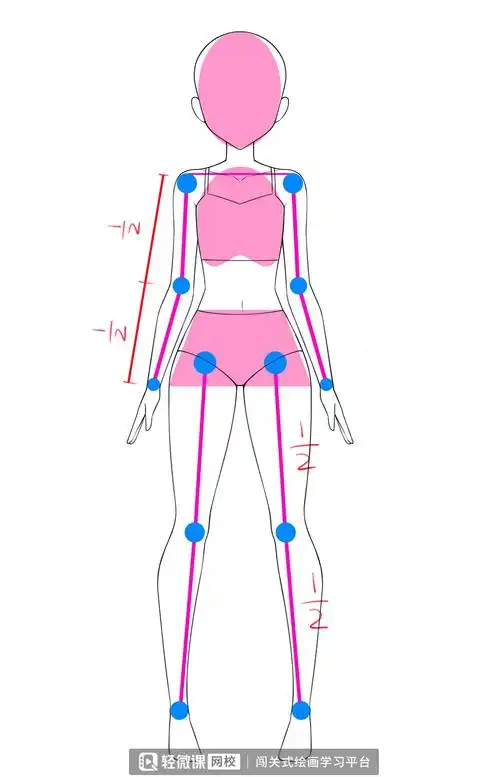 动漫二次元人体画法教程