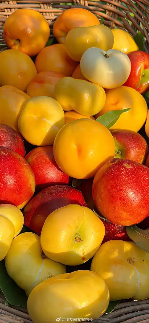 三月文案##朋友圈文案##文案##壁纸##手机壁纸##无水印壁纸##高清