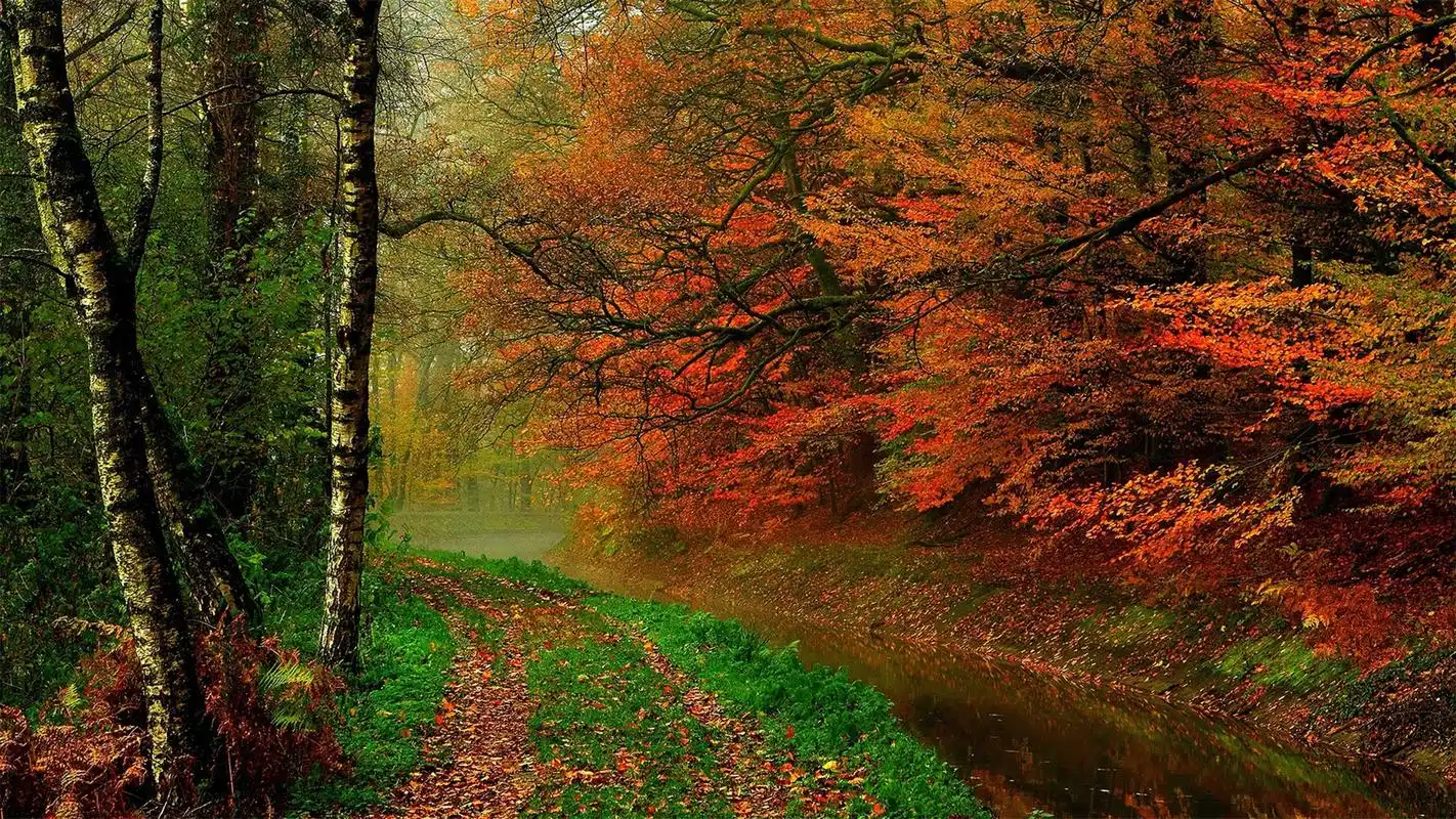 唯美的秋色美景自然风光高清电脑桌面主题壁纸图片(十二)-风景壁纸